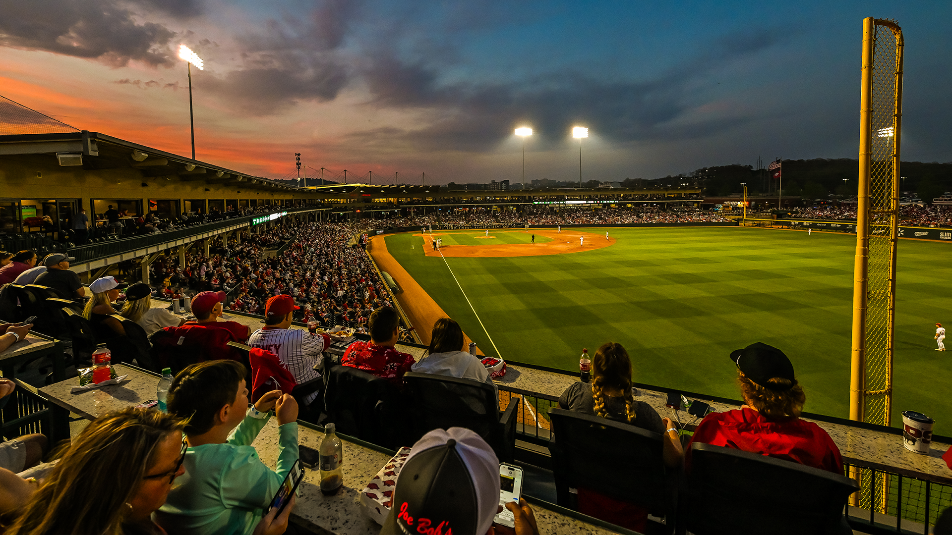 Arkansas Razorbacks